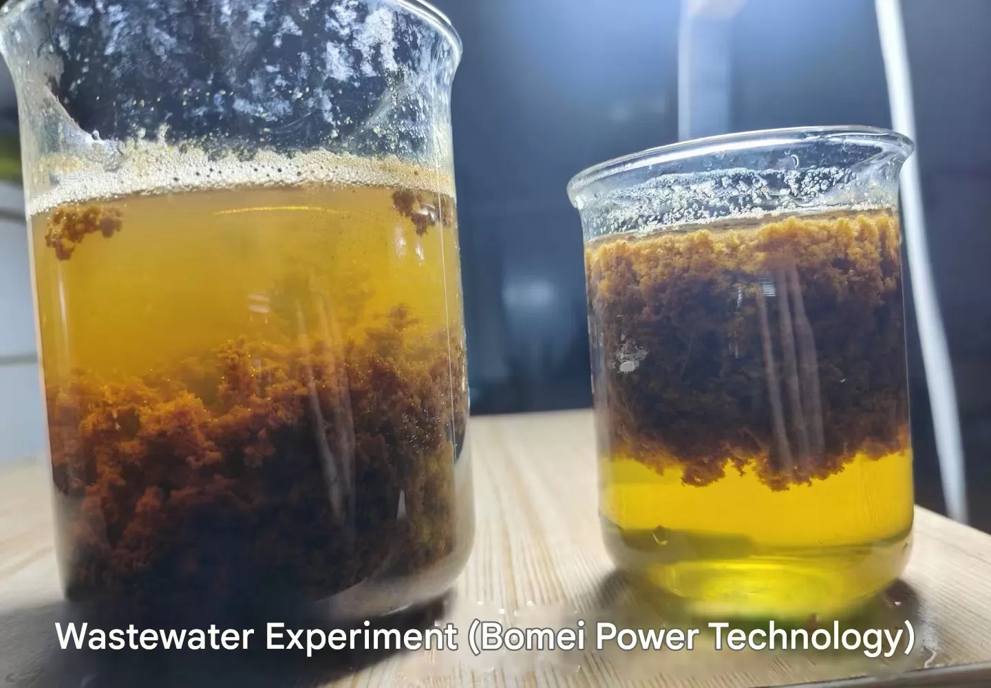 Electrocoagulation device